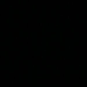 Meet your Posher, Bear